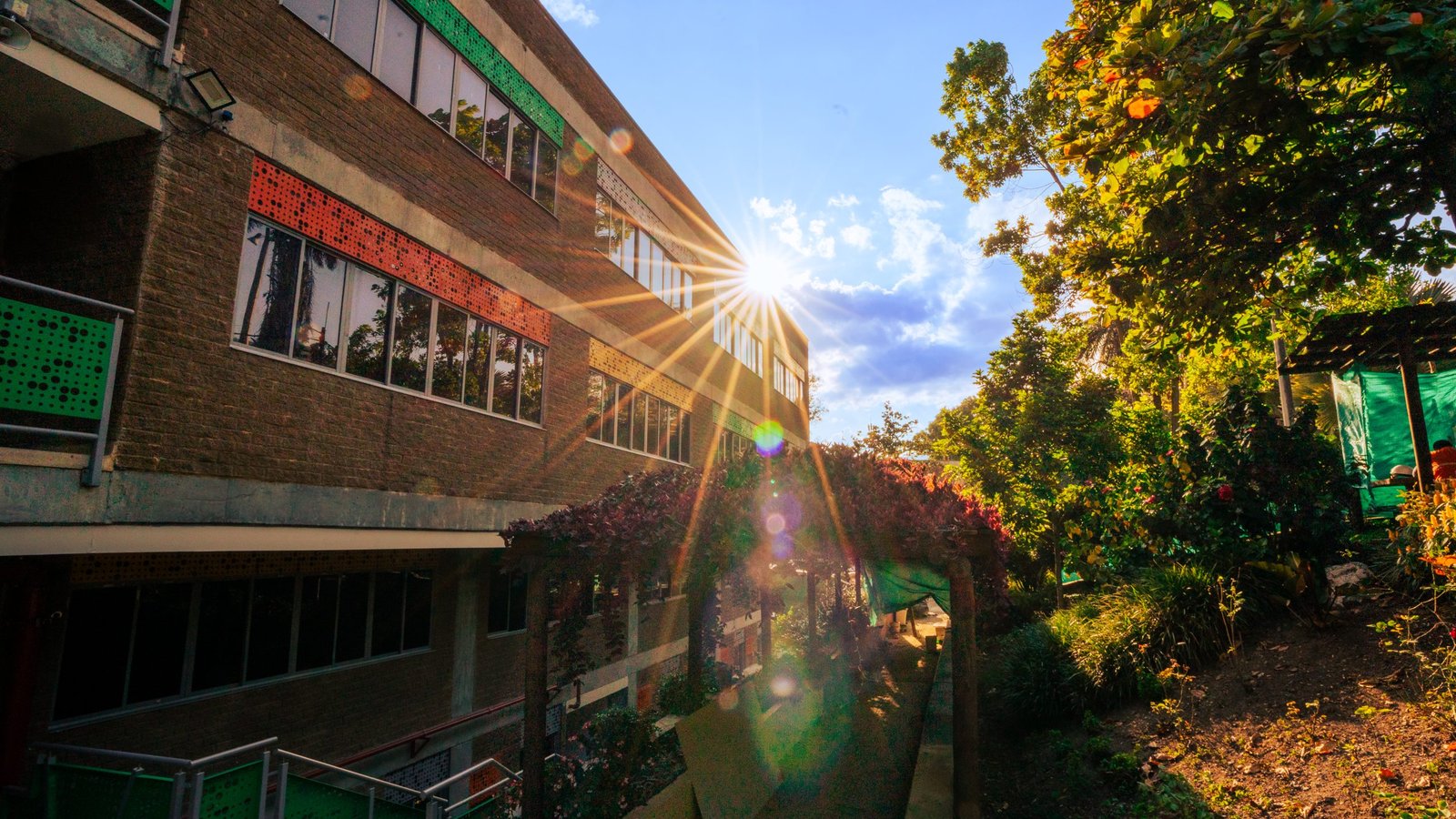 Comunidad académica del TdeA