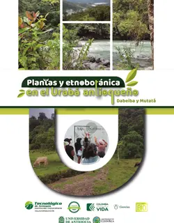 Plantas y etnobotánica en el Urabá antioqueño. Dabeiba y Mutatá